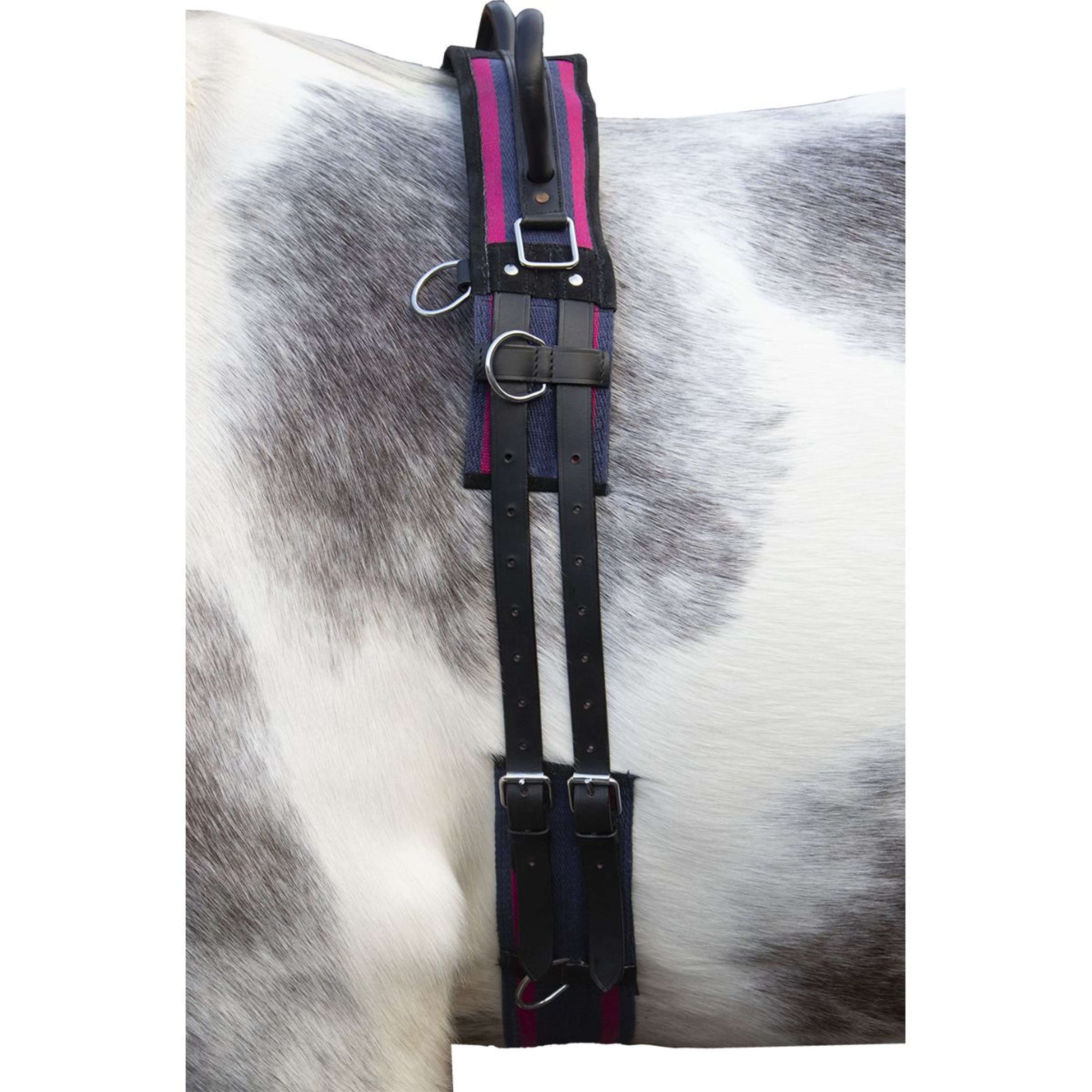 HKM Fascia da Addestramento Canvas con doppia maniglia Navy/Passion Pink HKM Fascia da Addestramento Canvas con doppia maniglia Navy/Passion Pink