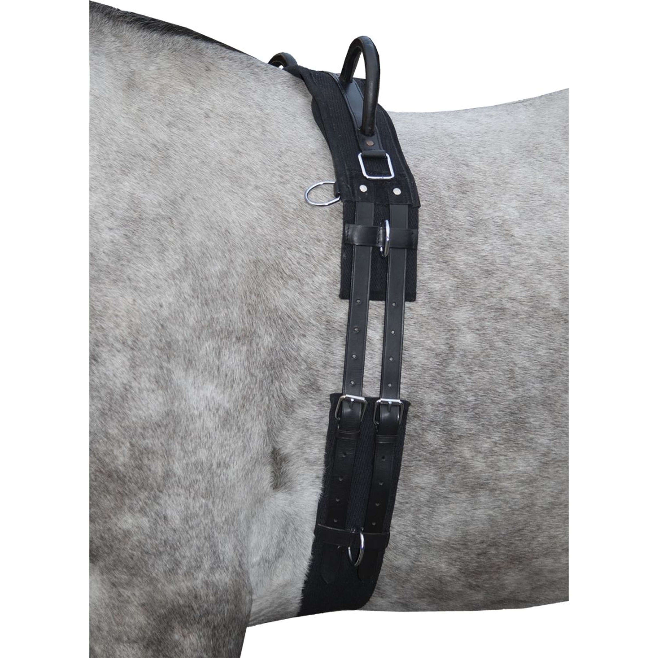 HKM Fascia da Addestramento Canvas Nero HKM Fascia da Addestramento Canvas Nero