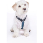 HKM Pettorina per Cane Blu scuro/Petrolio