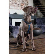 HKM Pettorina per Cane Blu scuro/Petrolio