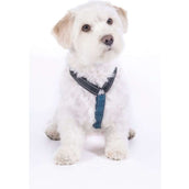 HKM Pettorina per Cane Blu scuro/Petrolio