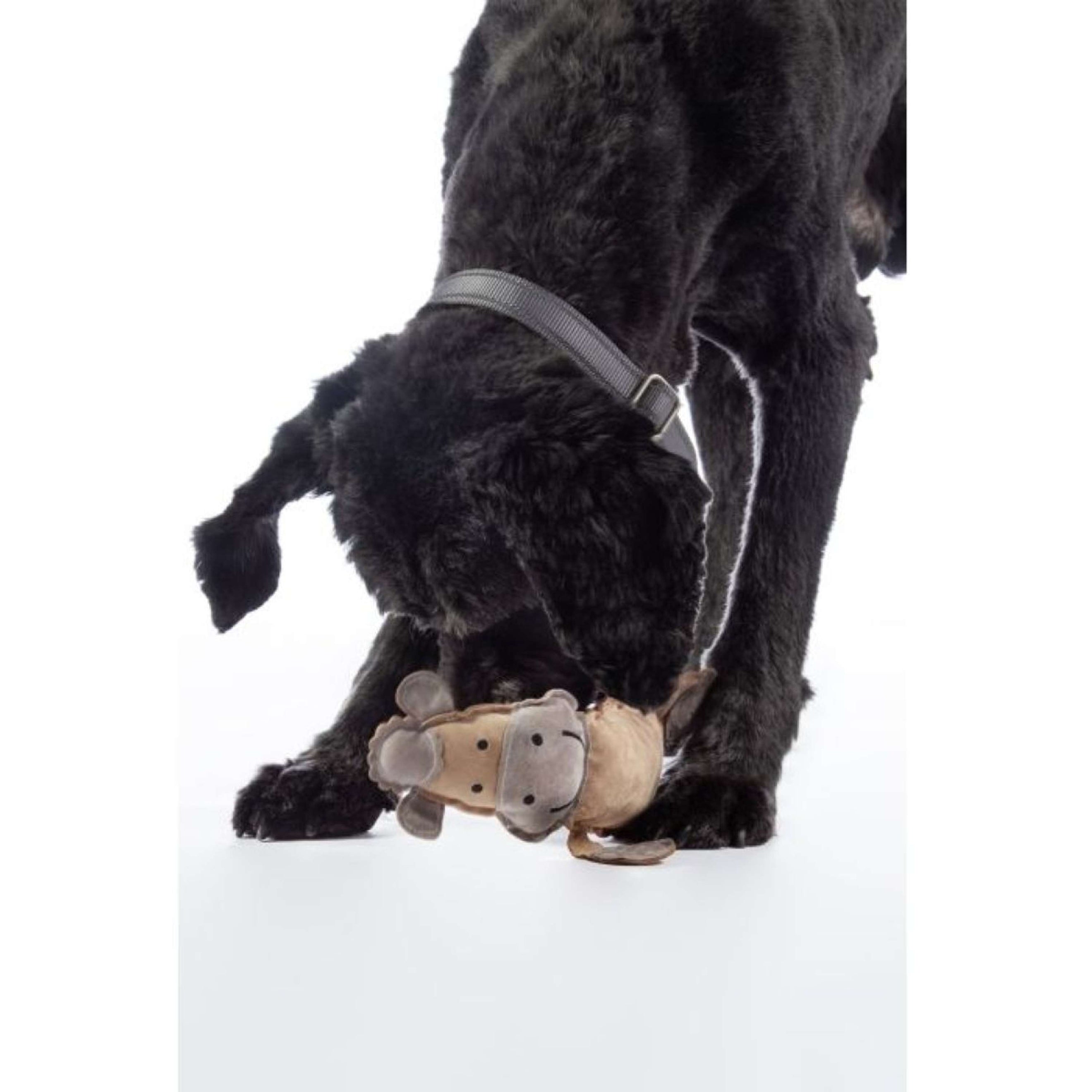 HKM Giochi per Cani Buddy Naturale/Grigio chiaro