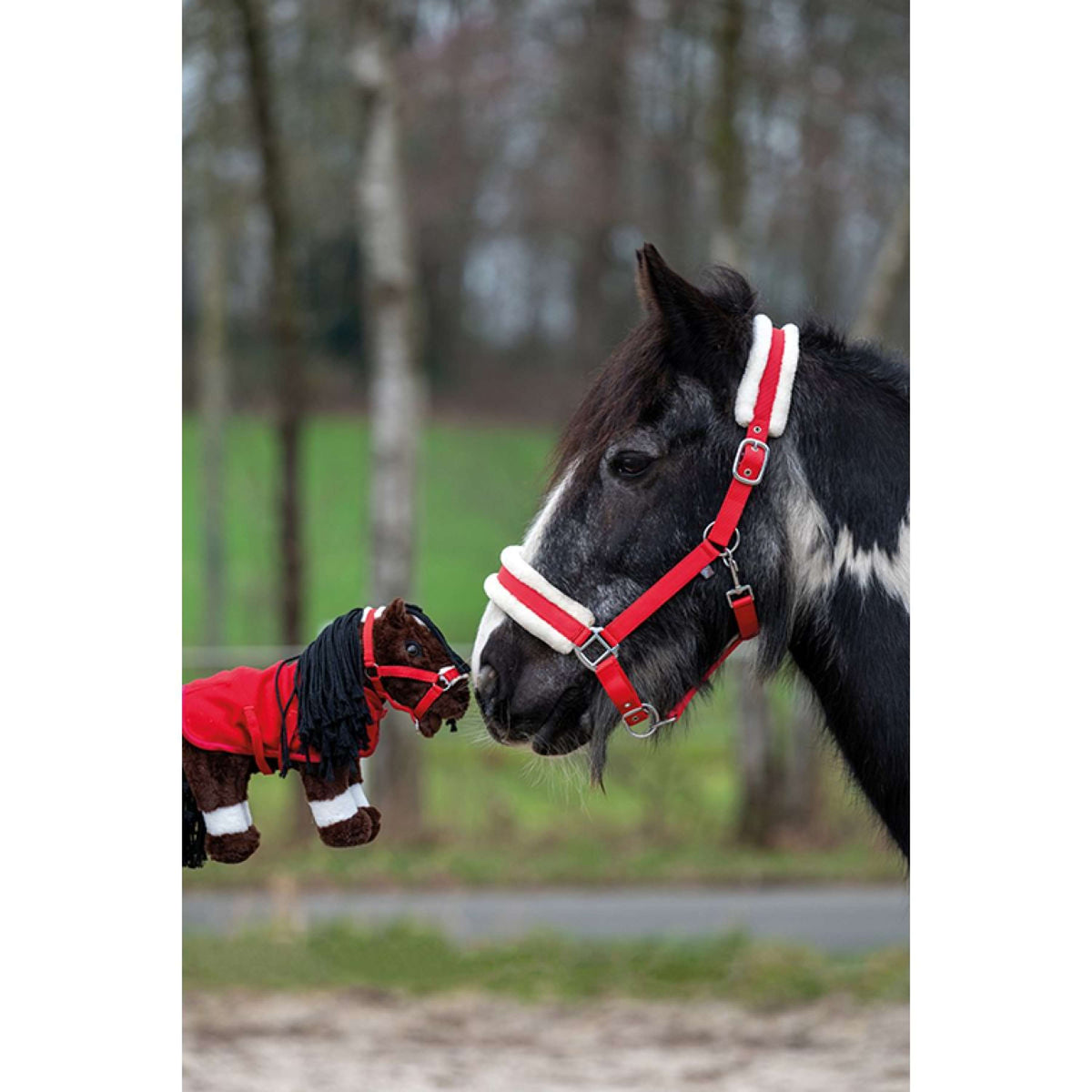 HKM Pony Peluche Starterset Rosso