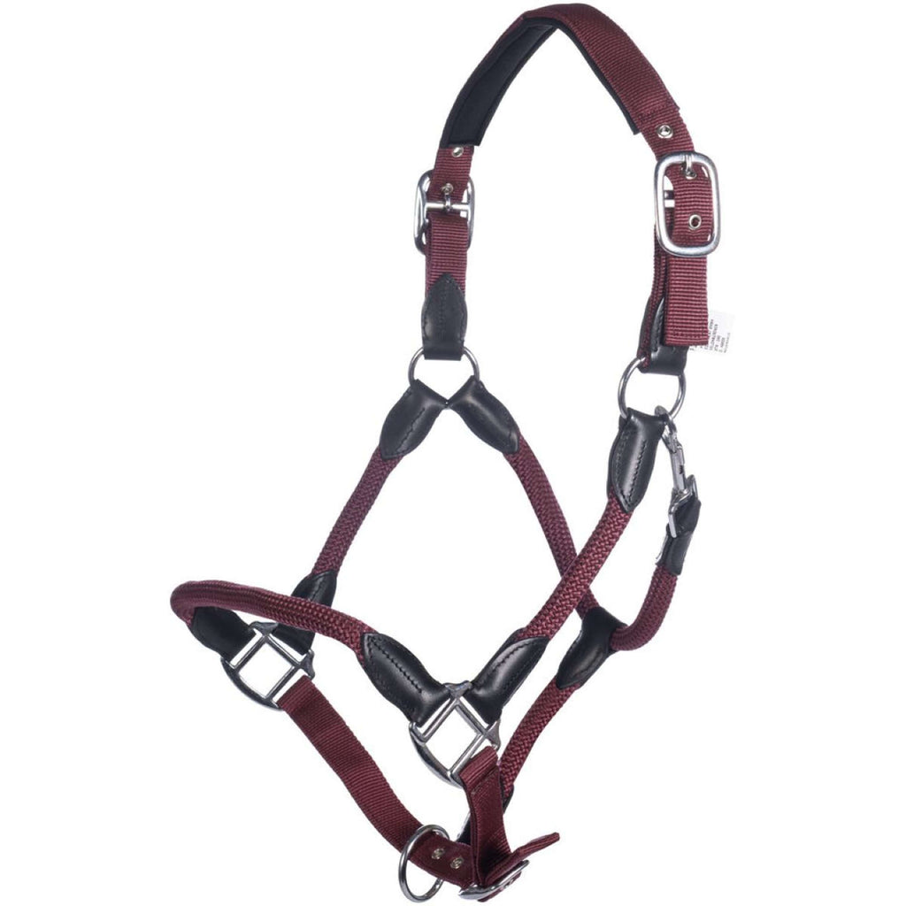 HKM Cavezza Carlotta Bordeaux