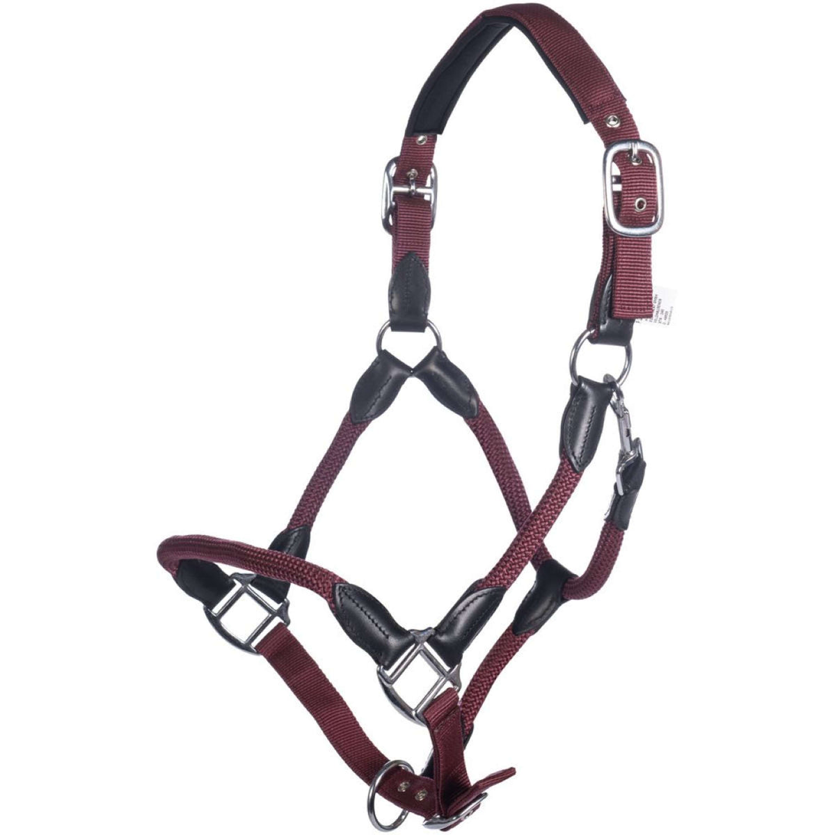 HKM Capezzina Carlotta Bordeaux