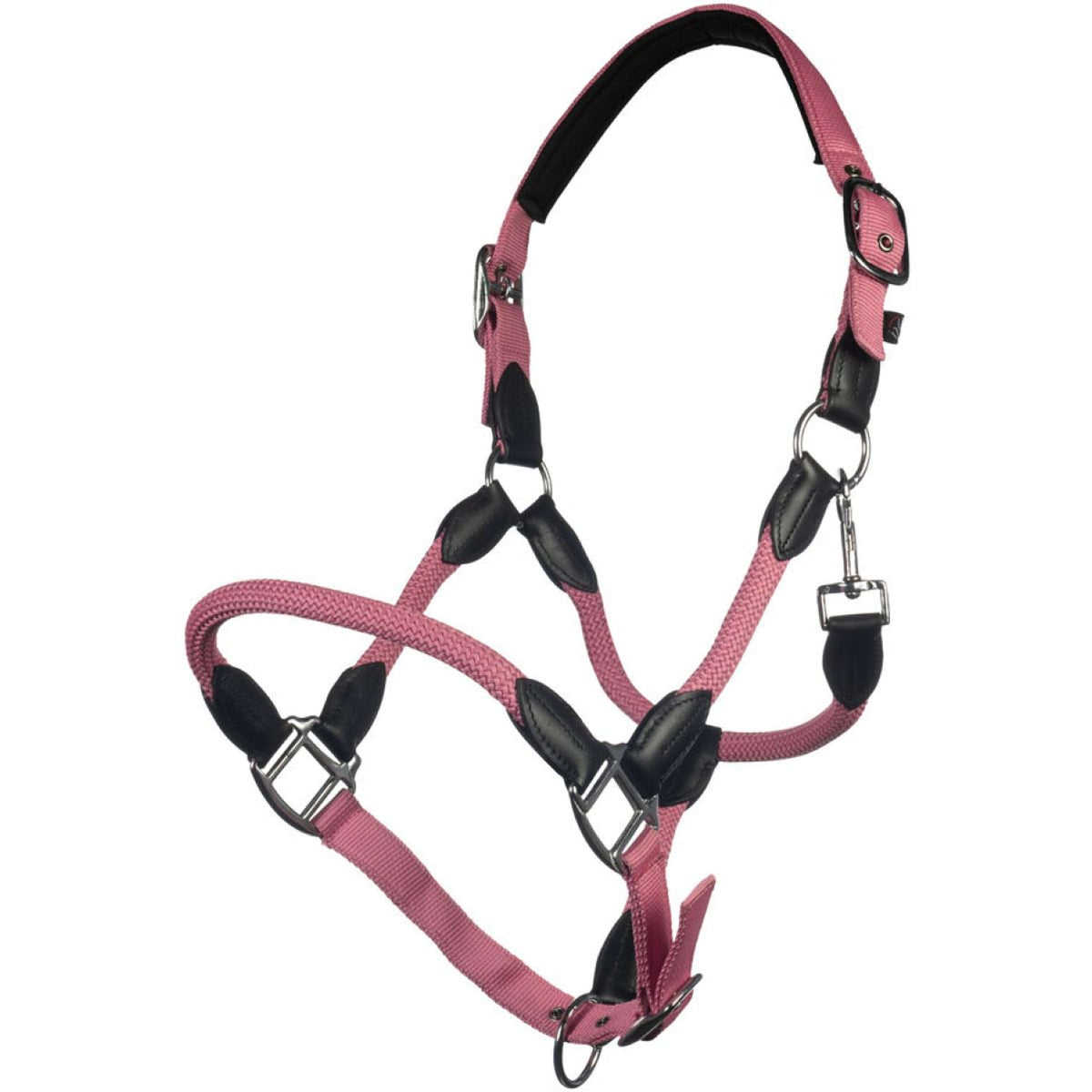 HKM Capezzina Carlotta Rosa