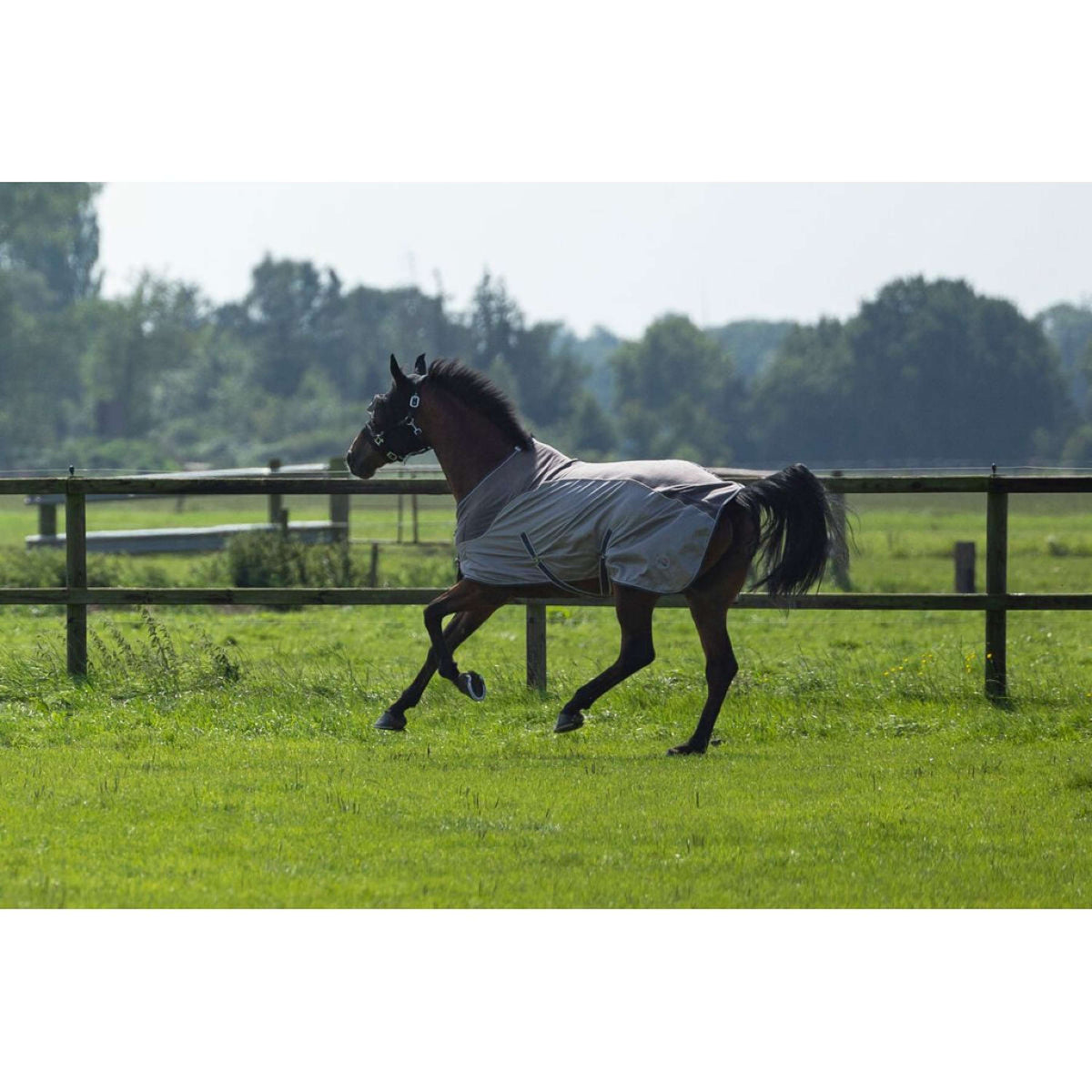 HKM Coperta Antimosche Comfort Fleece Grigio/Naturale/Blu