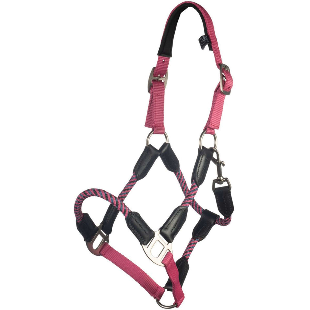 HKM Cavezza Nele Rosa