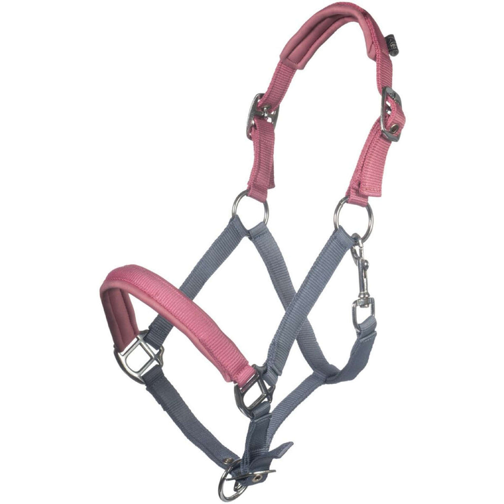 HKM Cavezza Barnie Blu fumo/Rosa