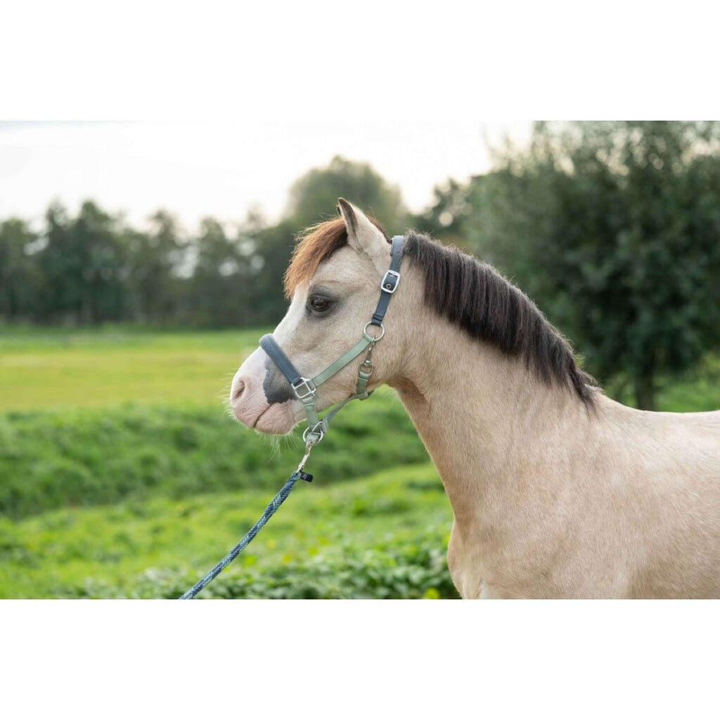 HKM Cavezza Barnie Verde chiaro/Verde scuro
