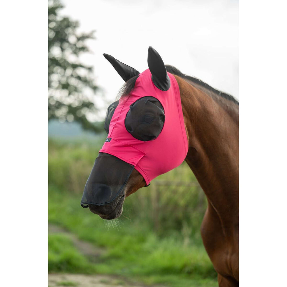 HKM Maschera Antimosche Elastic Con Rete per Naso Magenta