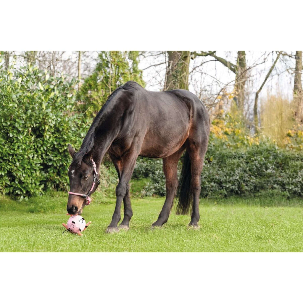 HKM Palla Fun Rosa