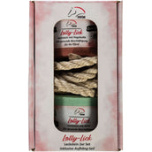 HKM Pietra da Leccare Lolly Lick Set di 2 Rosa canina/mela