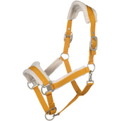 HKM Capezzina Arezzo Senape