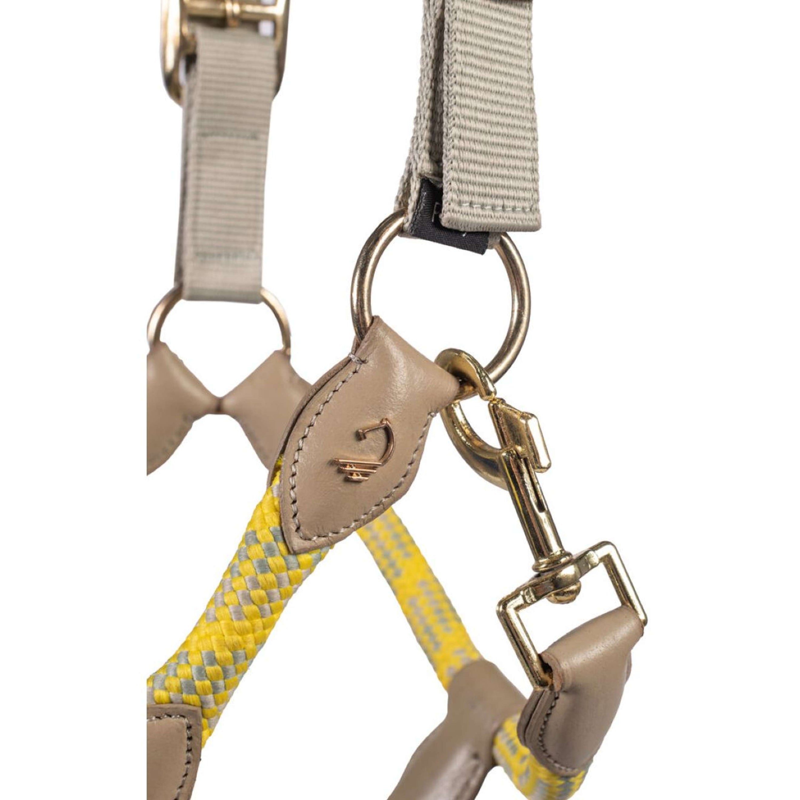 Lauria Garrelli Cavezza Limone Sportive Grigio/Beige