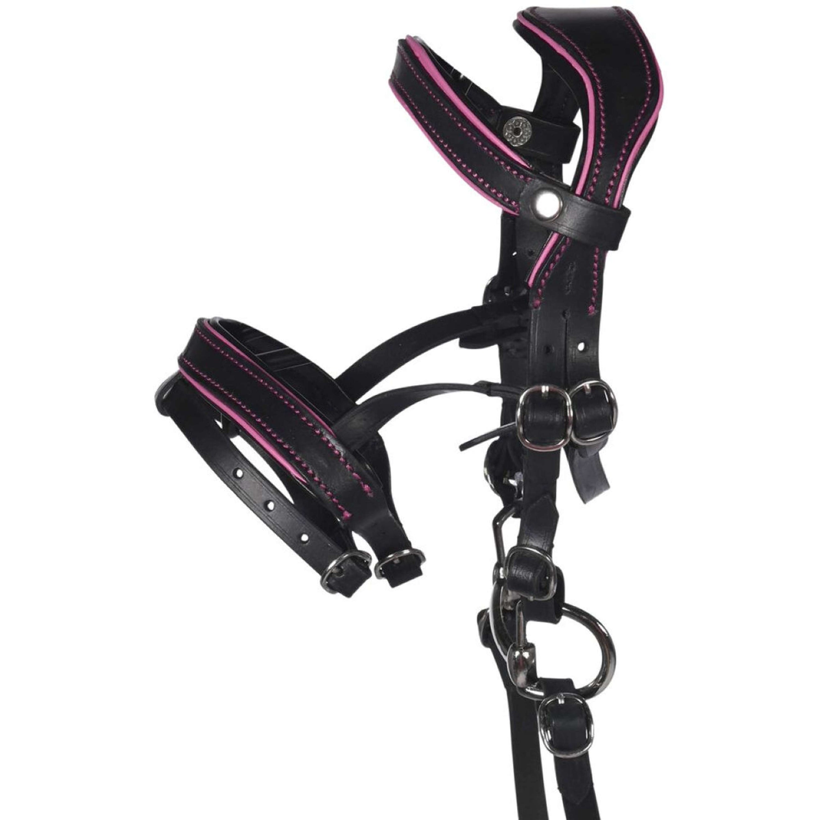 HKM Briglia Hobby Horsing Nero/Rosa