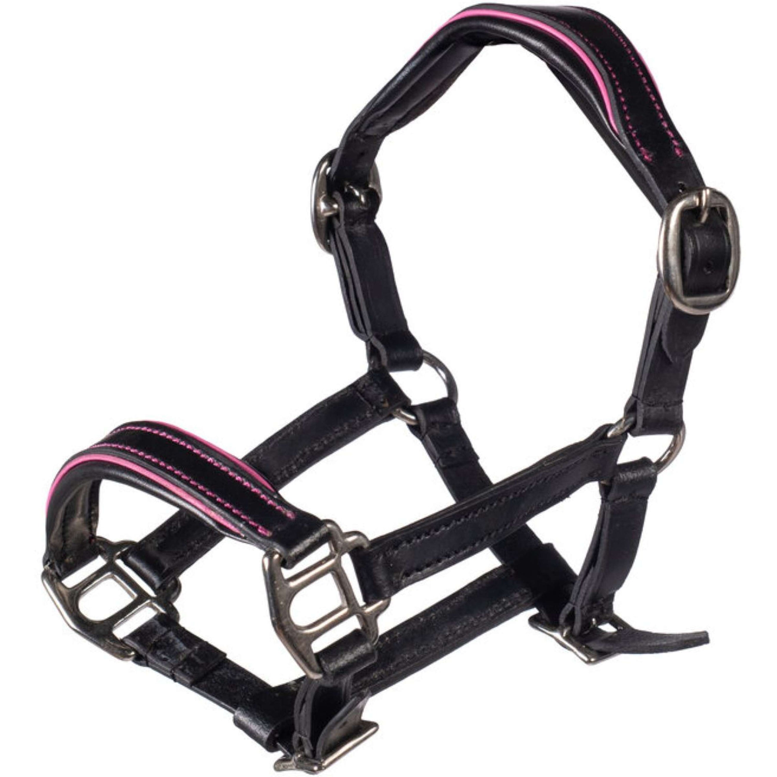 HKM Capezzina in Cuoio Hobby Horsing Nero/Rosa