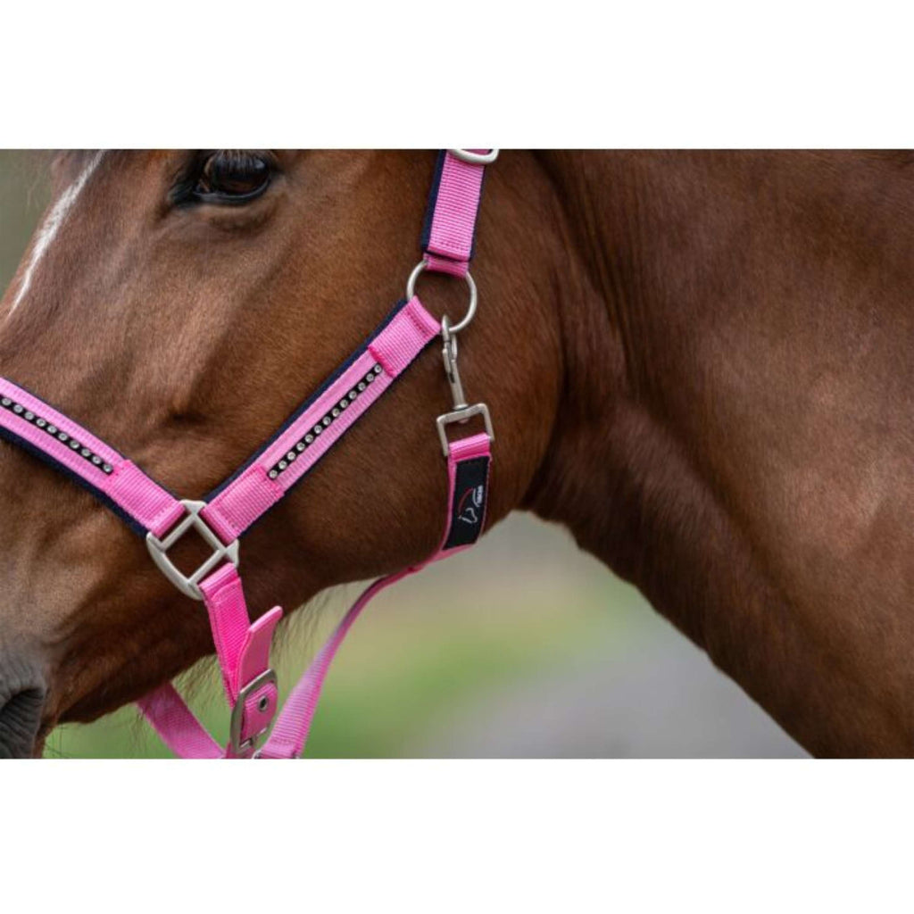 HKM Set Cavezza Crystal Fodera Morbida Rosa/Blu scuro