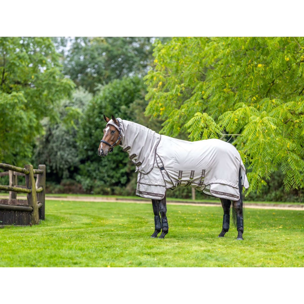 LeMieux Coperta per Eczema Kudos Sweet Itch SS26 Calcolo