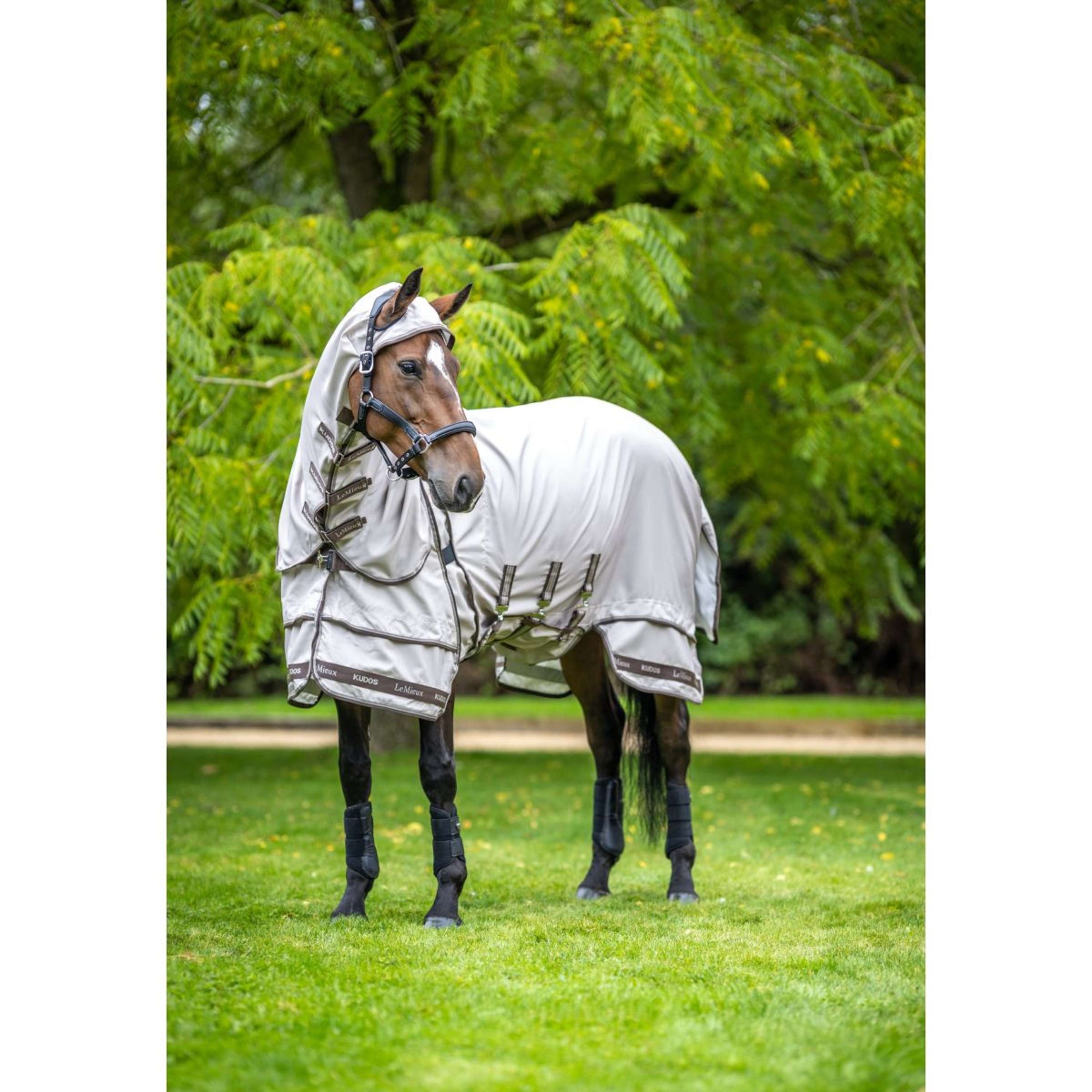 LeMieux Coperta per Eczema Kudos Sweet Itch SS26 Calcolo LeMieux Coperta per Eczema Kudos Sweet Itch SS26 Calcolo