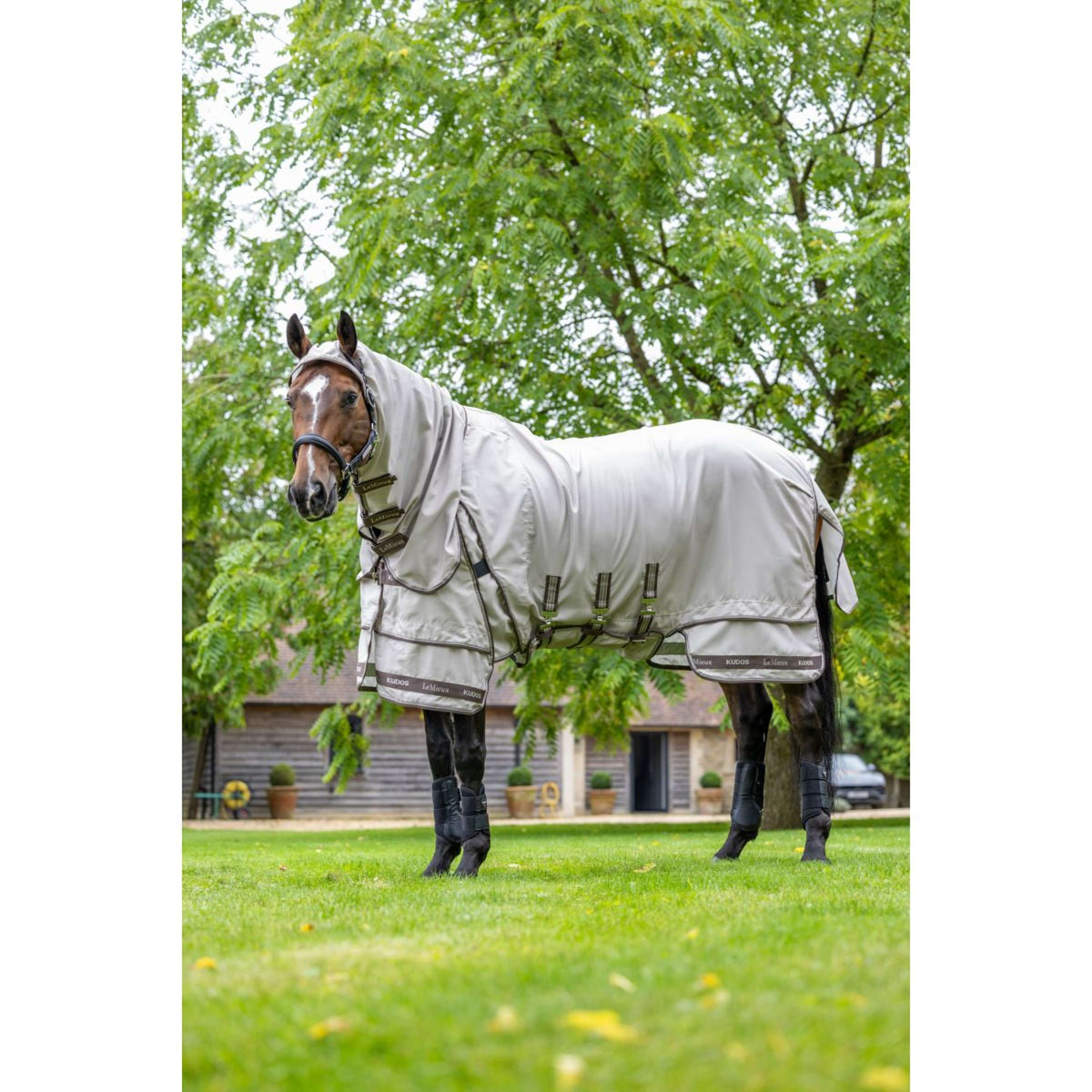 LeMieux Coperta per Eczema Kudos Sweet Itch SS26 Calcolo