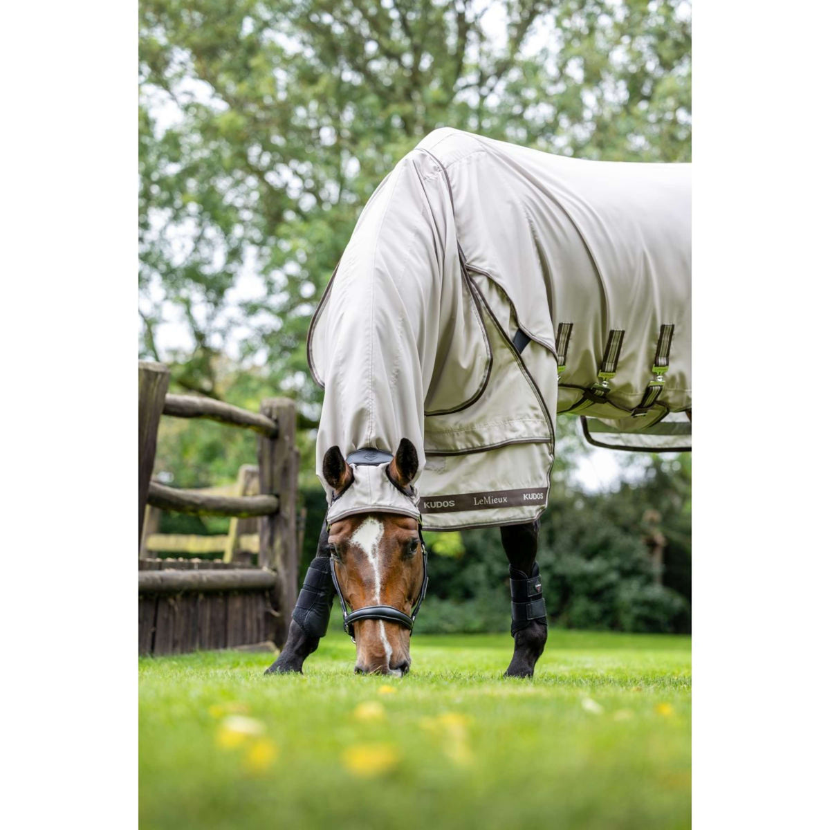 LeMieux Coperta per Eczema Kudos Sweet Itch SS26 Calcolo