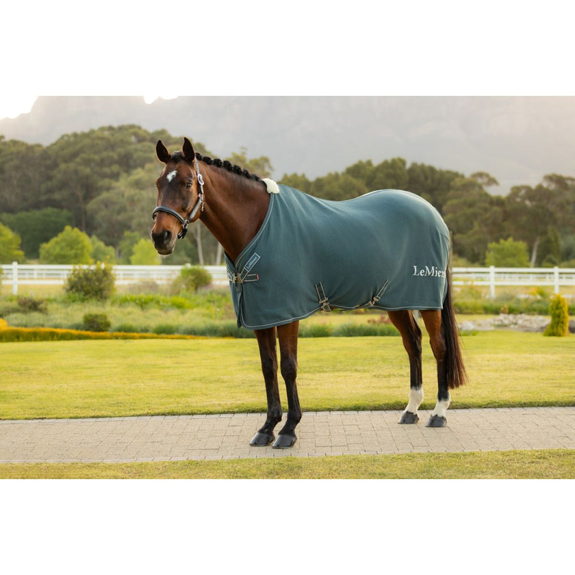 LeMieux Cooler Kudos Bamboo Jungle