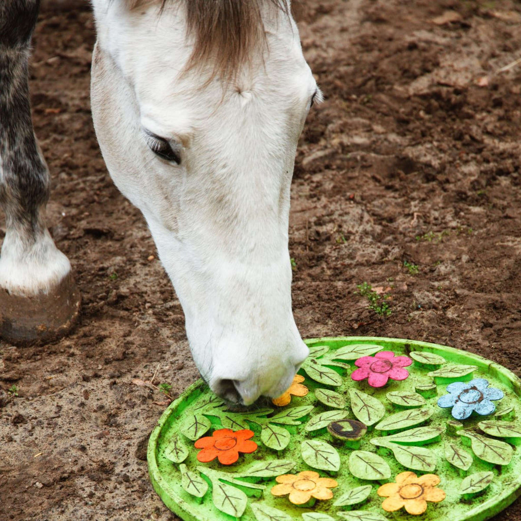 Excellent Tappeto Olfattivo Horse Flower Power