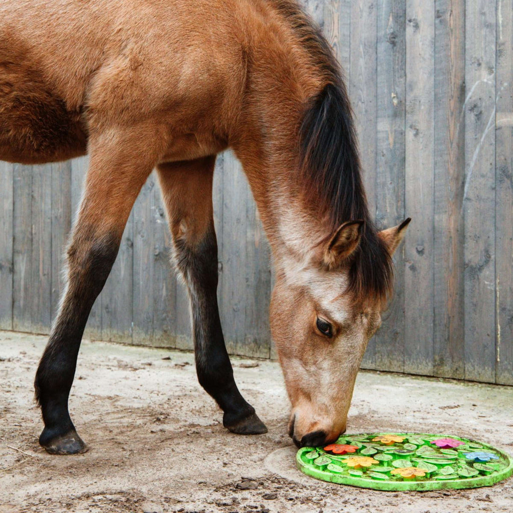 Excellent Tappeto Olfattivo Horse Flower Power