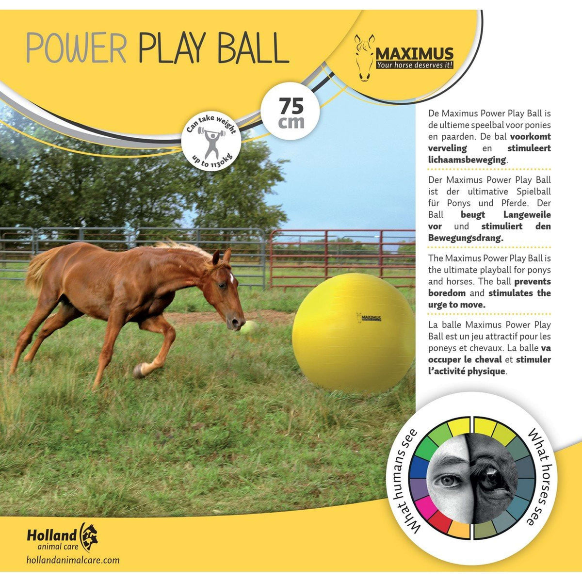 Maximus Ball Power Play Giallo