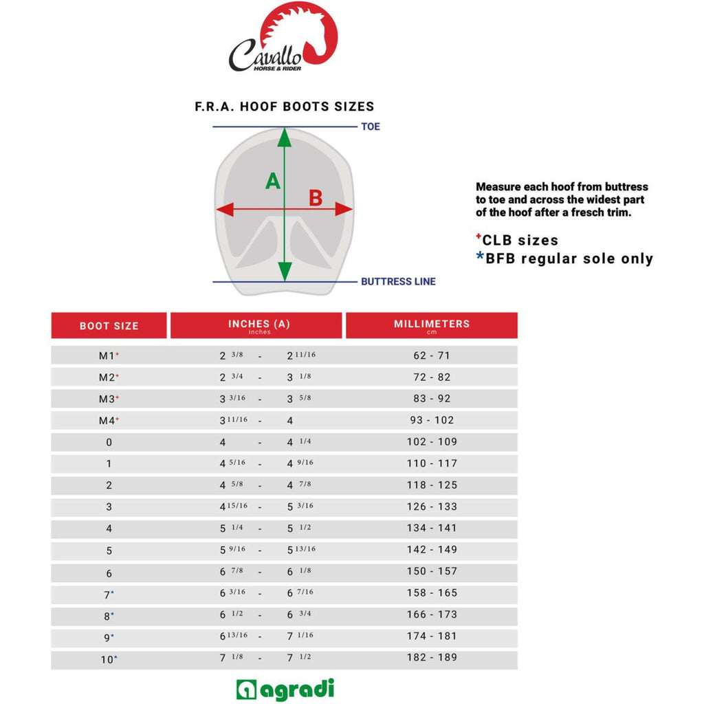 F.R.A. Cavallo Horse & Rider Stivali per cavalli Simple Regular Nero