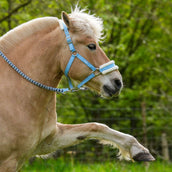 Hoefwijzer Capezzina Azzurro