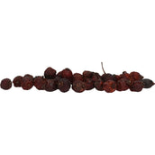 Excellent Rosa Canina Herbs