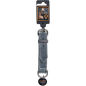 Spotted Pro! Collare per Cane Grigio