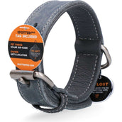 Spotted Pro! Collare per Cane Grigio
