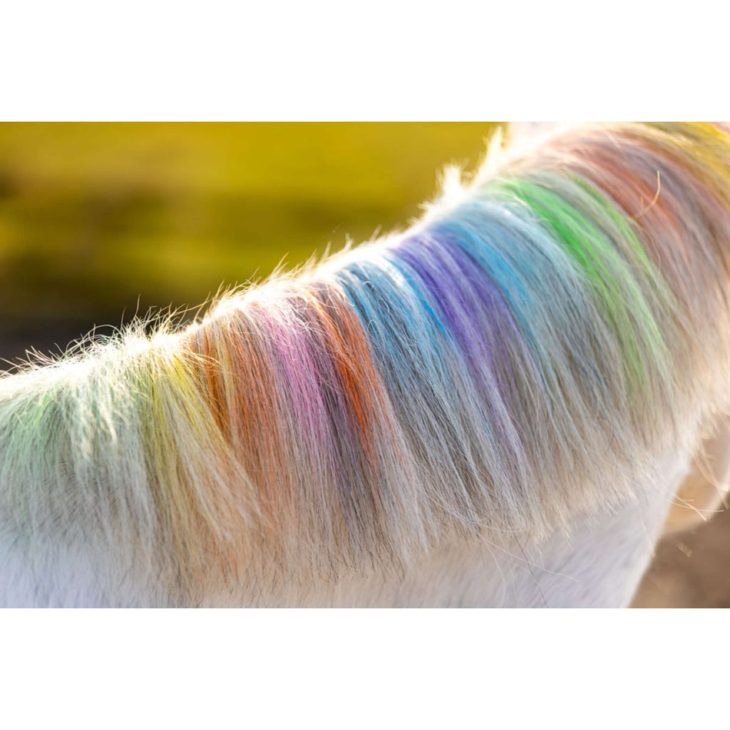 Paardenpraat Gesso per capelli