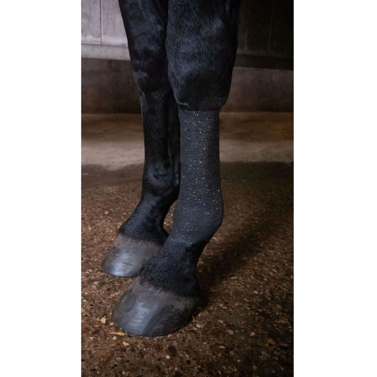 Excellent Fascia Animal Profi Glitter Nero