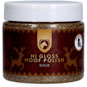 Excellent Lucido per zoccoli Hi Gloss Christmas Oro