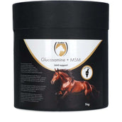 Excellent Supporto congiunto Glucosamine + MSM