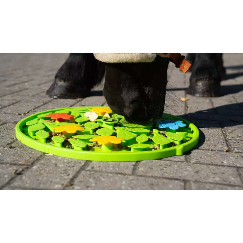 Excellent Tappeto Olfattivo Horse Flower Power