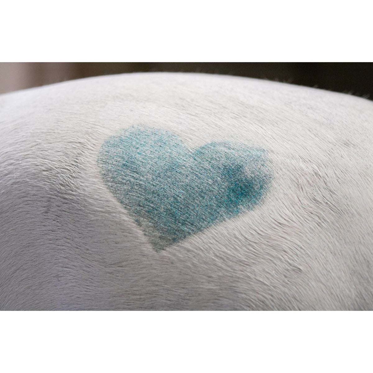 Excellent Spray Glitterato Hi Gloss Arcobaleno