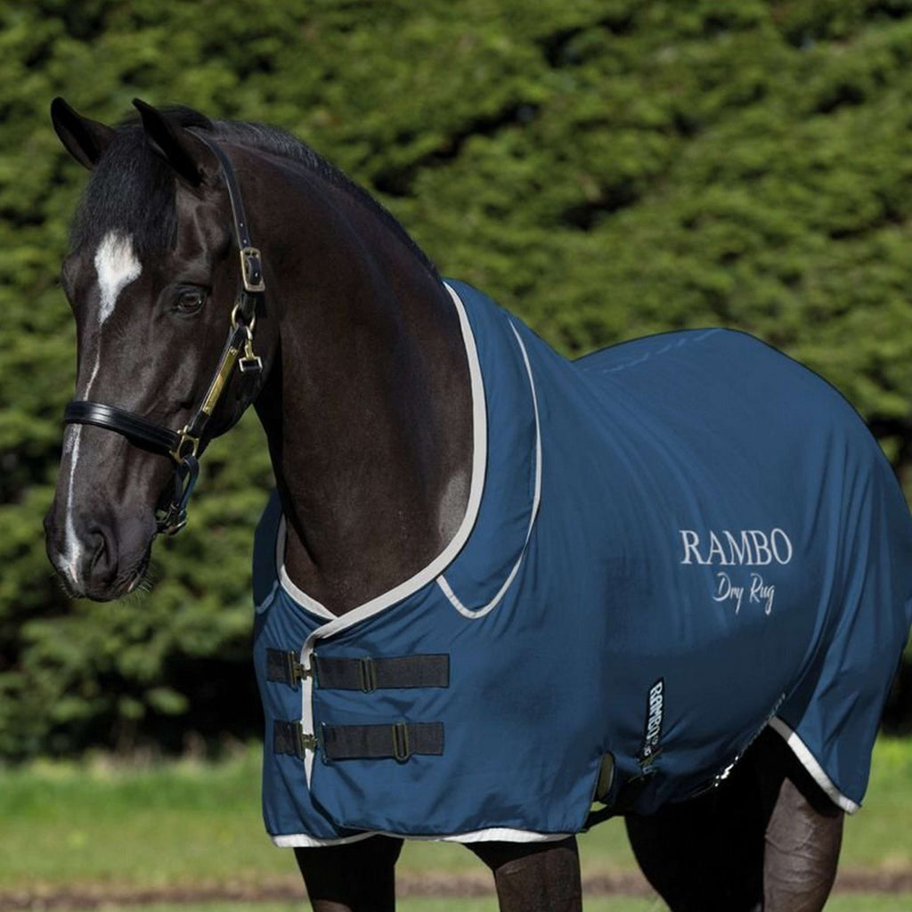 Rambo Coperta antisudore Supreme Blu marino/Argento