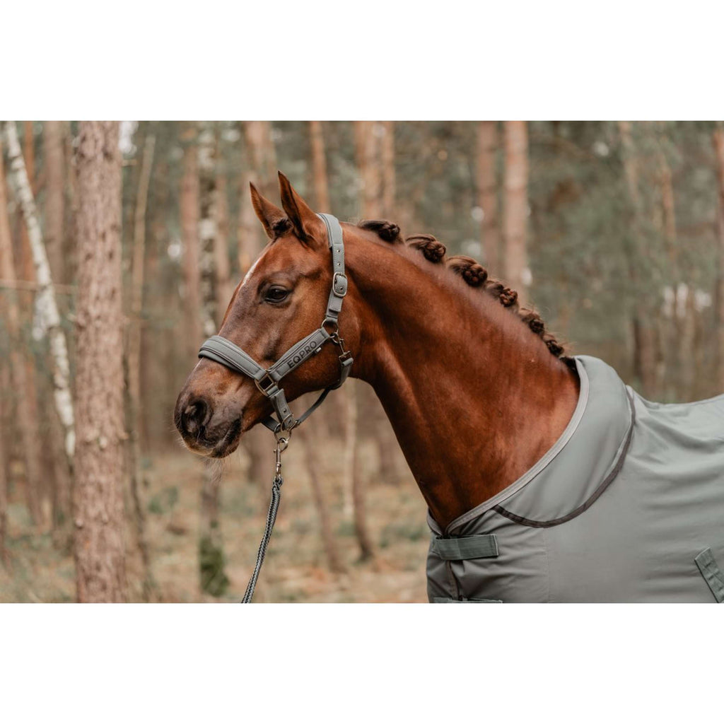 EQPRO Set Cavezza Softshell Shadow Steel
