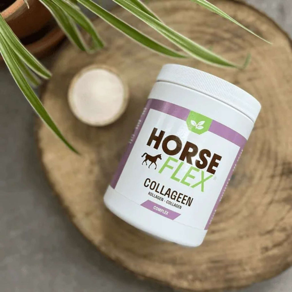 HorseFlex Complesso Collagene Ricarica