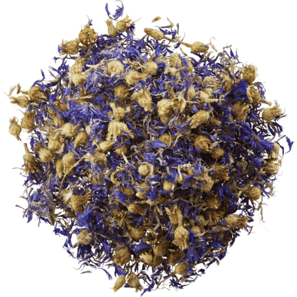 Horseflex Fiordaliso