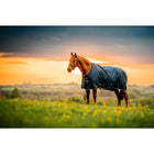 Amigo Ripstop 900D Pony 200g Marina di Witney