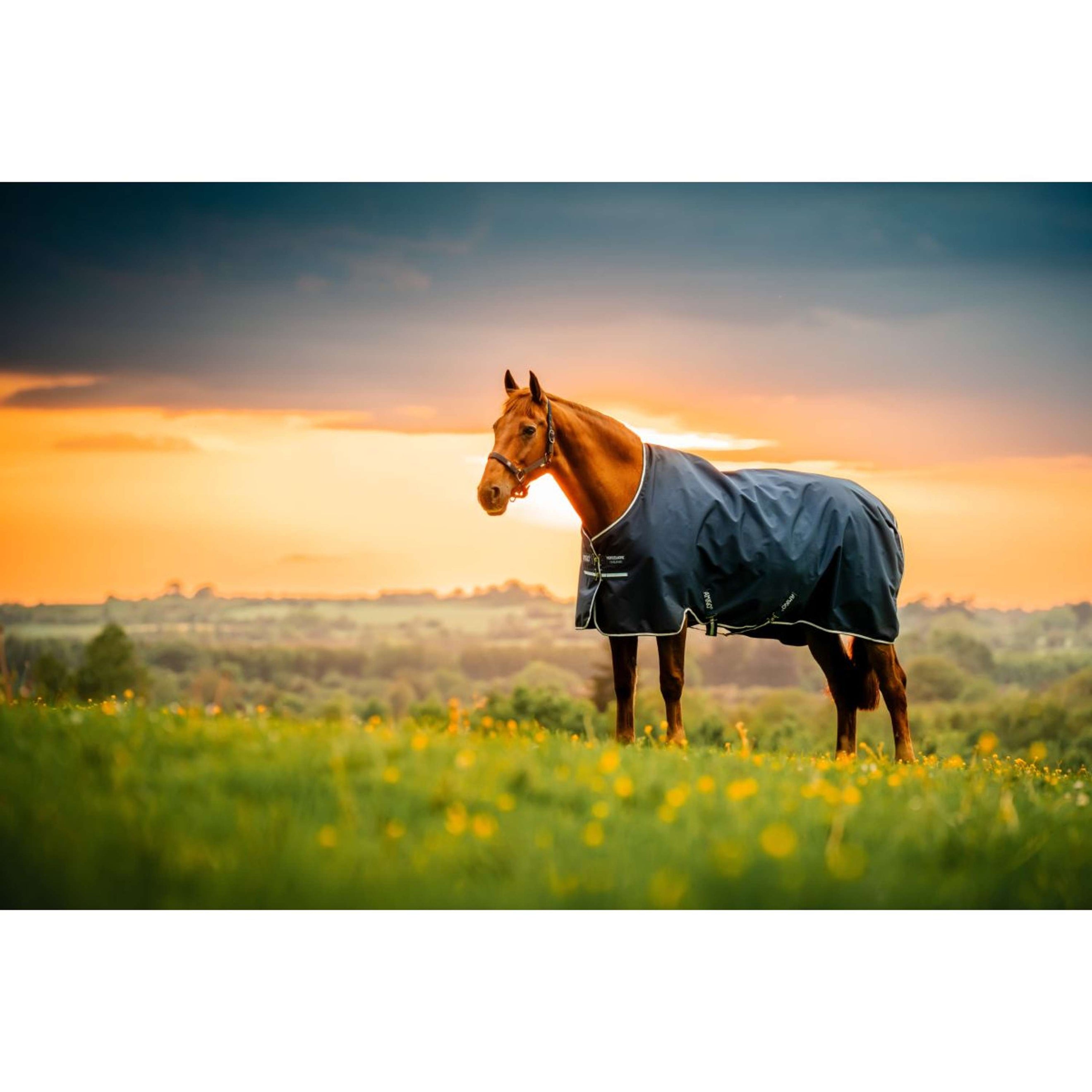 Amigo Ripstop 900D Pony 200g Marina di Witney