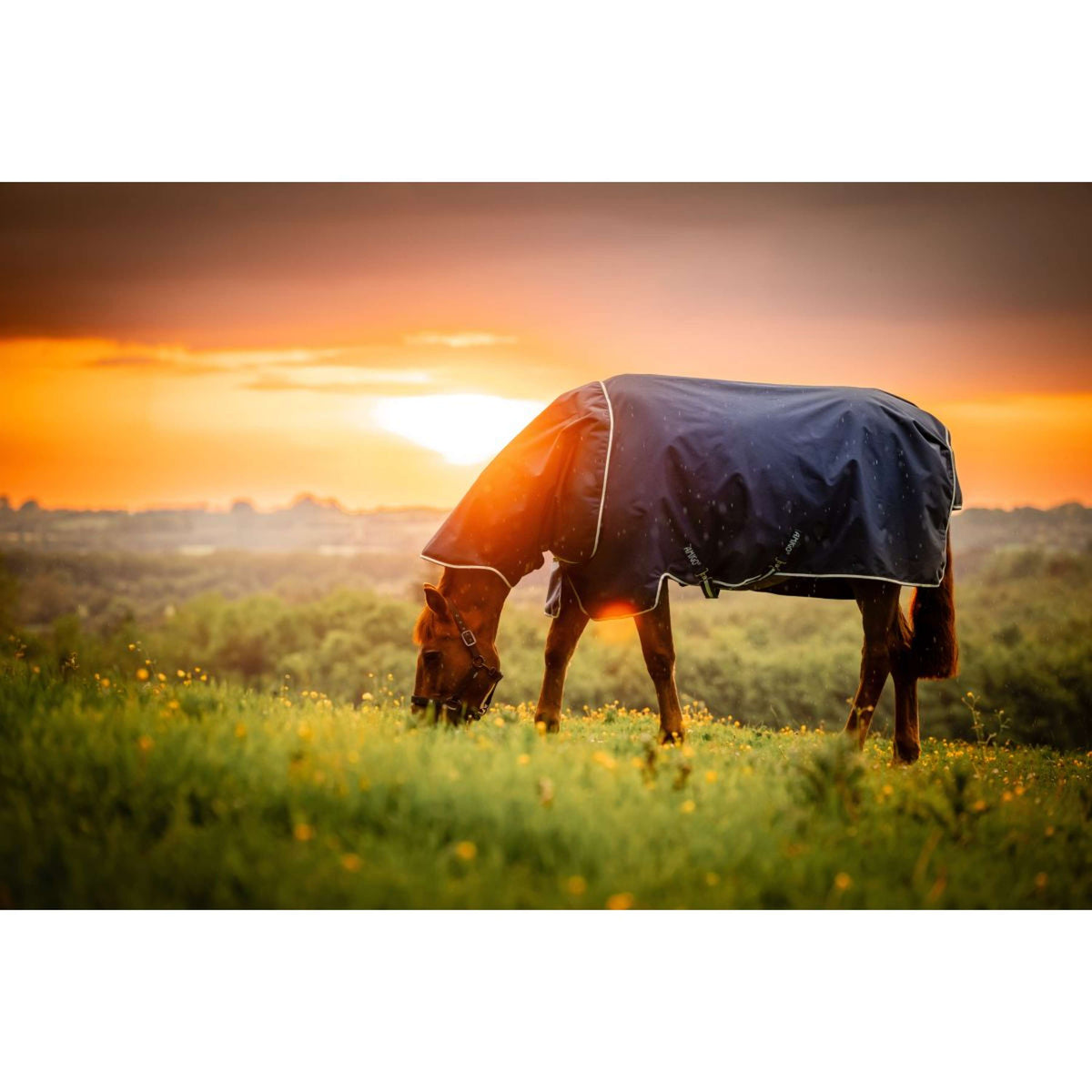 Amigo Ripstop 900D Plus 200g Marina di Witney