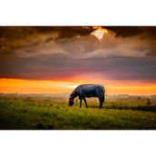 Amigo Ripstop 900D Plus 200g Marina di Witney