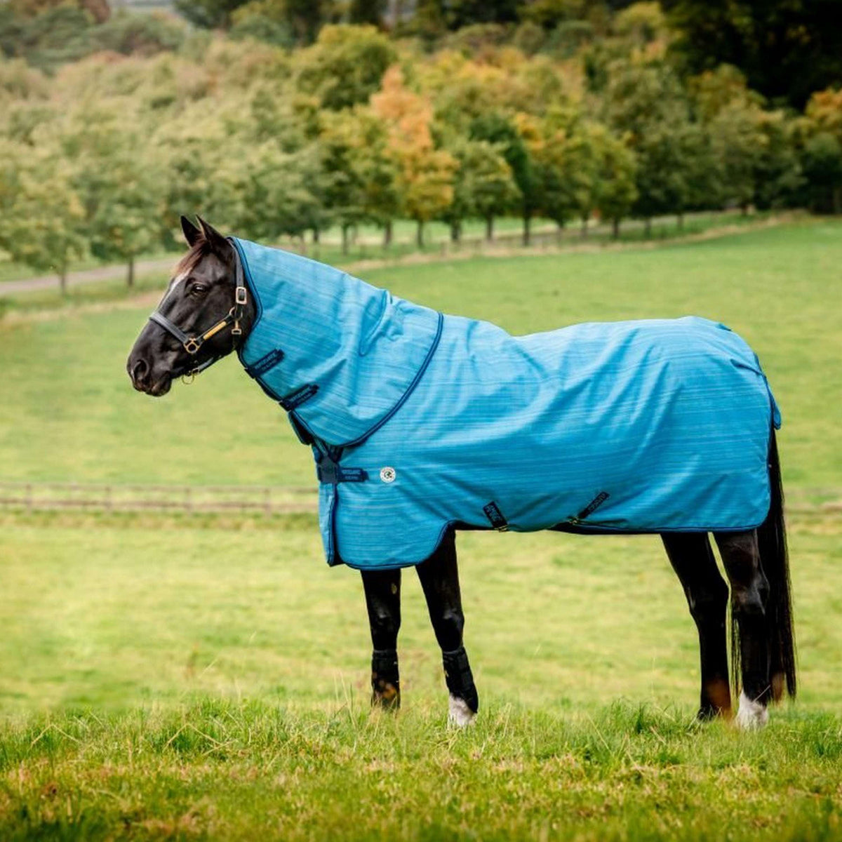 Amigo Turnout Hero 900 Revive Plus 200g